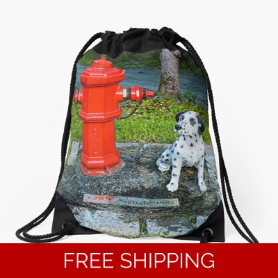 Le Studio Drawstring Bag Rush Signals Statue